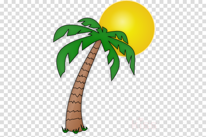 a palm tree with the sun in the background