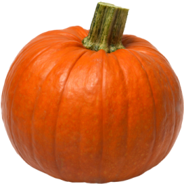 a small orange pumpkin on a white background