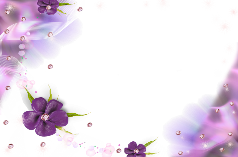 purple flowers on a white background