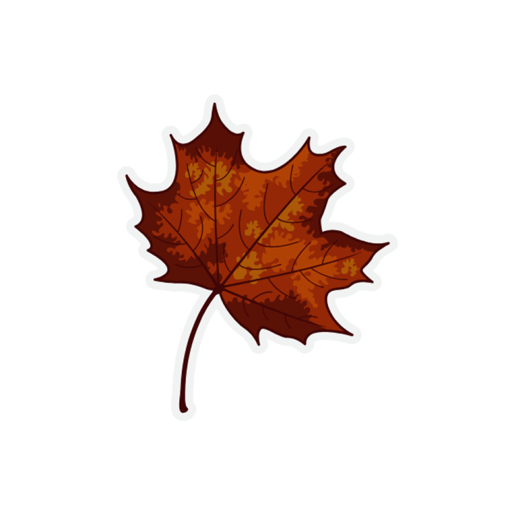 a brown maple leaf on a white background