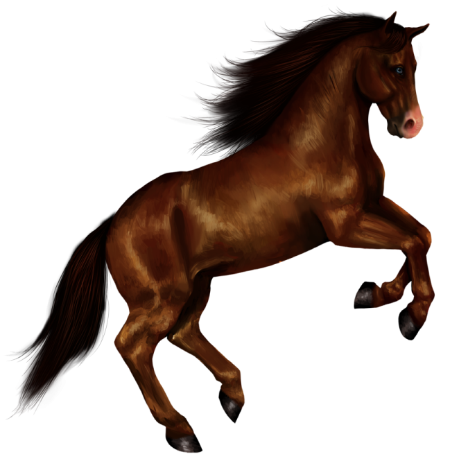 a brown horse running on a white background