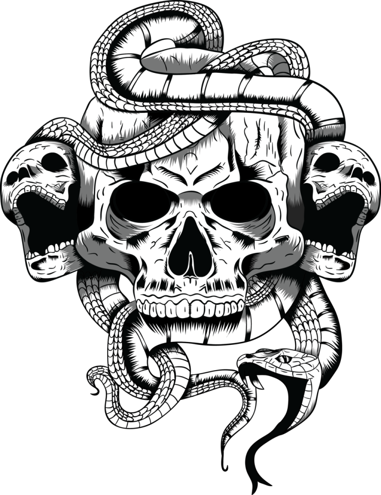a skull with a snake on it's head