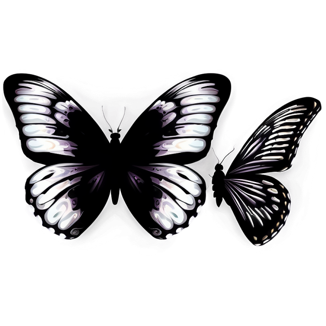 two black and white butterflies on a white background