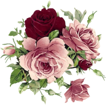 a bouquet of pink and red roses with green leaves