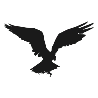 an eagle silhouetted on a white background