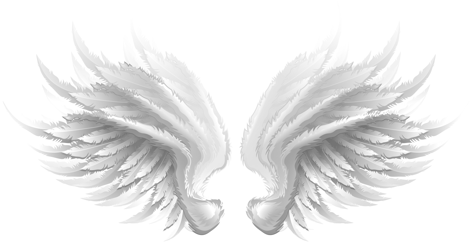 two white wings on a white background