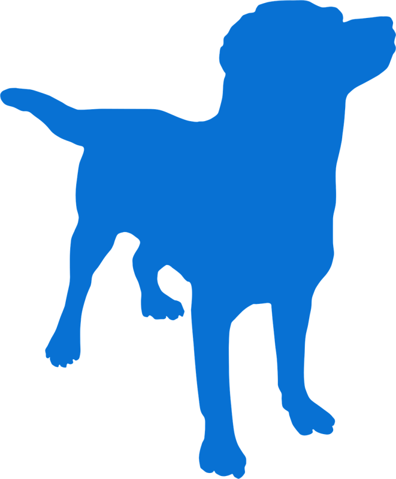 a blue silhouette of a dog