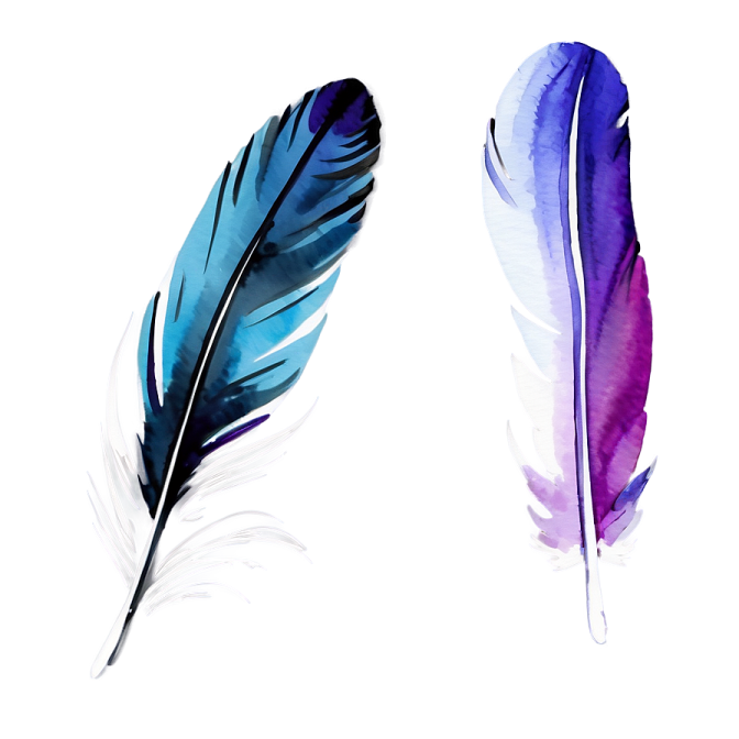 two watercolor feathers on a white background