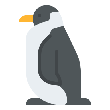 a black and white bird sitting on the ground