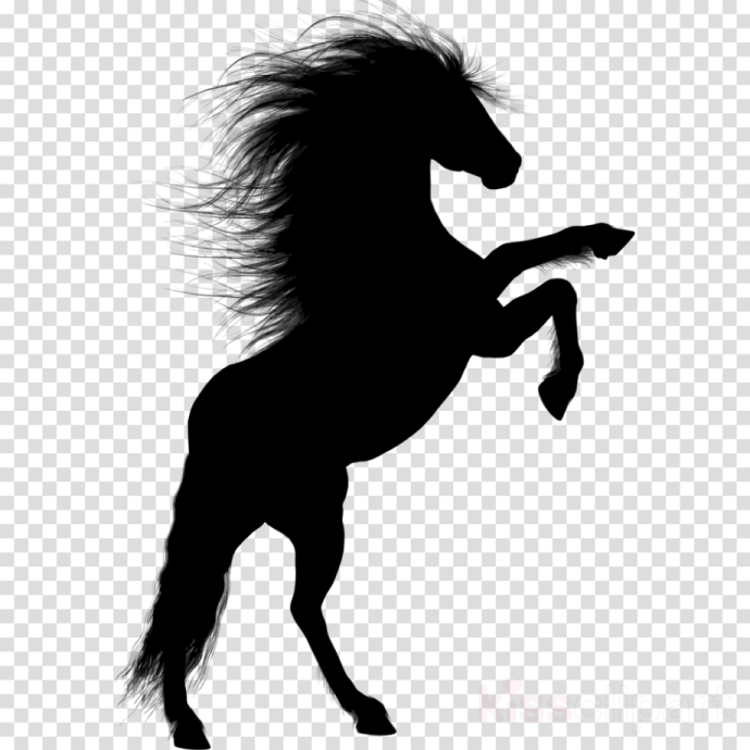 a silhouette of a horse with long hair