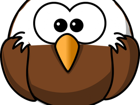 an image of an owl in a nest