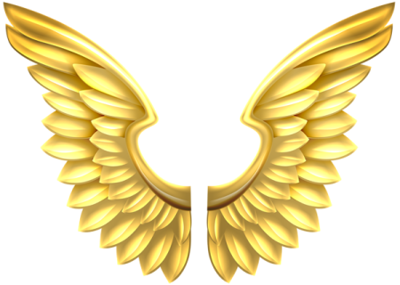 gold angel wings png