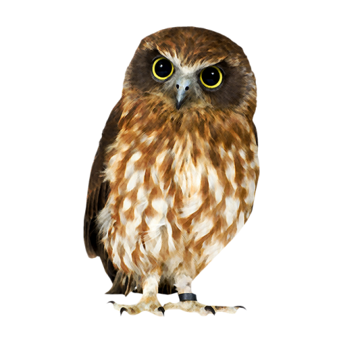 a brown and white owl with yellow eyes