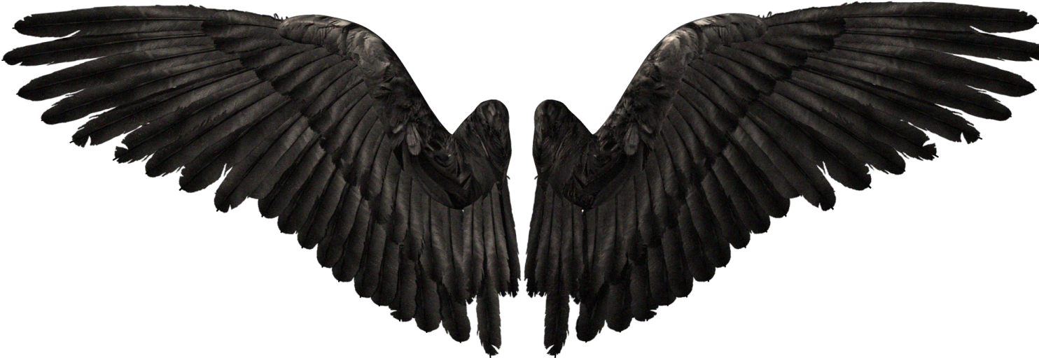 two black wings on a white background