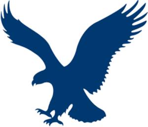 an eagle flying in the air