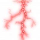 an image of a tree branch with roots