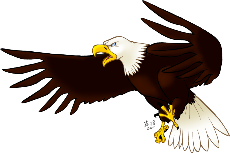 an eagle flying with its wings spread