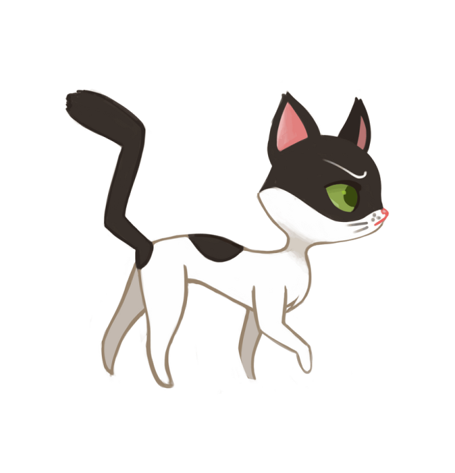 a black and white cat with green eyes