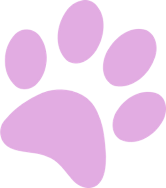 a pink paw print on white background