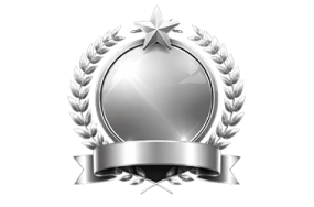 a silver award badge with a ribbon around it