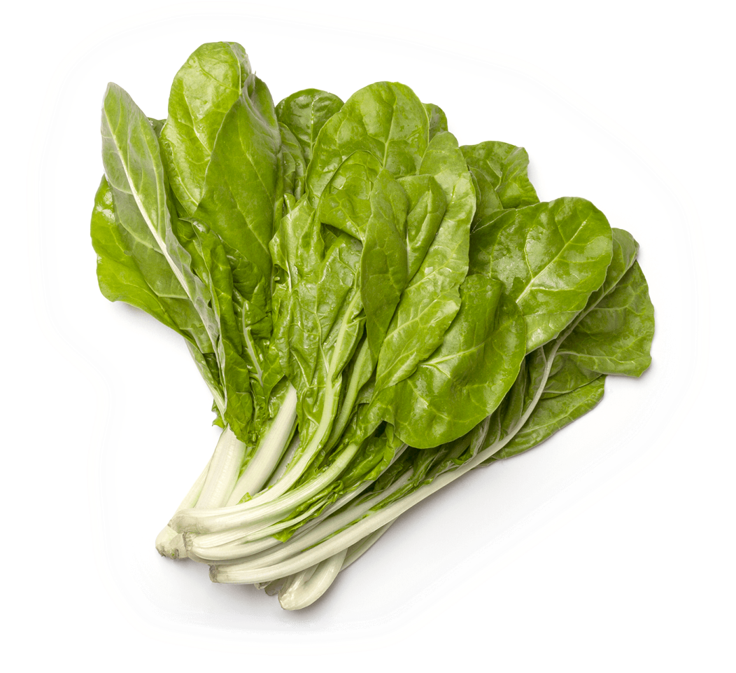 a bunch of green leaves on a white background