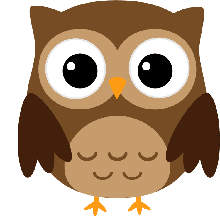a brown owl with big eyes