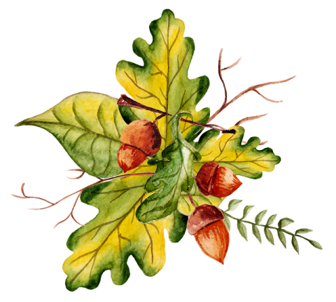 a watercolor painting of autumn leaves
