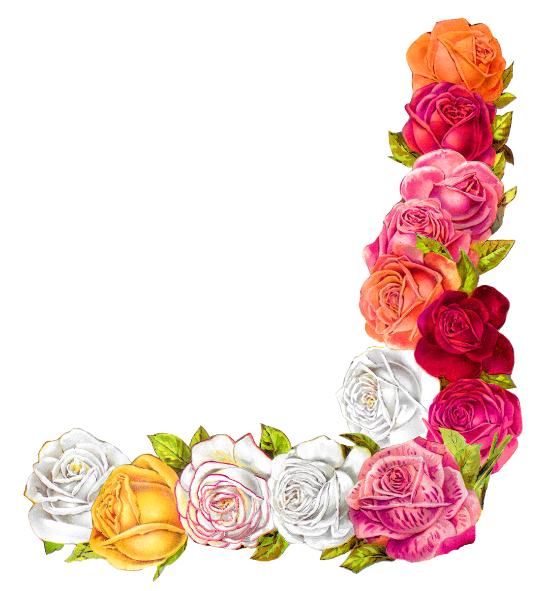 a letter made of roses and leaves
