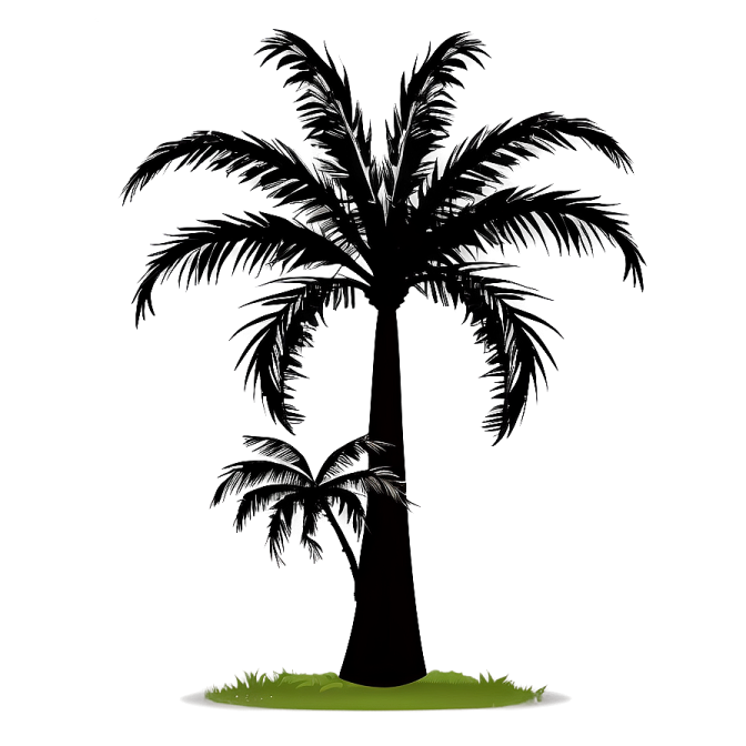 a palm tree silhouetted on a white background