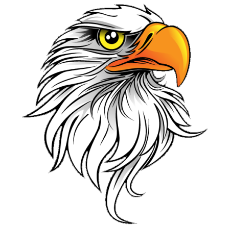 an eagle's head with yellow eyes