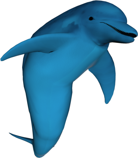 a blue dolphin swimming in the ocean