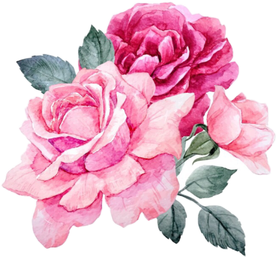 a watercolor painting of pink roses