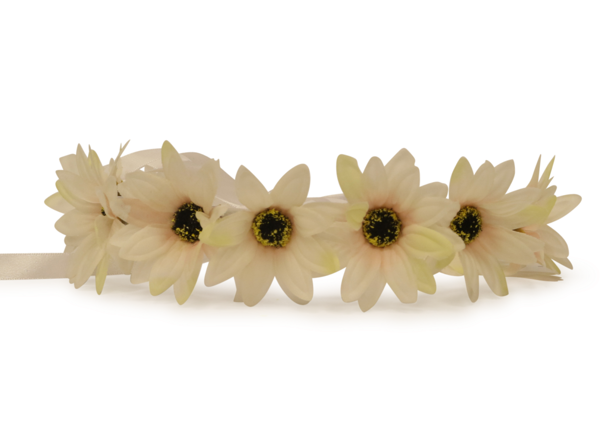 a pair of flowers on a white background