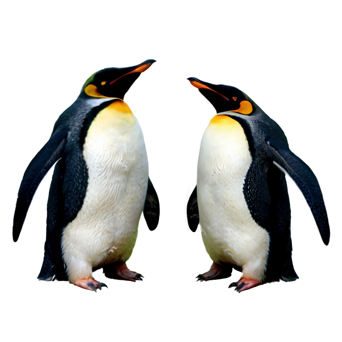 two penguins standing next to each other penguins