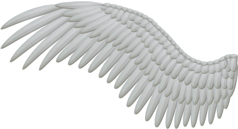 an image of a white angel wing