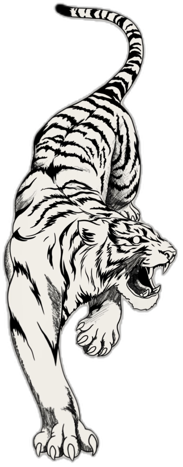 a black and white drawing of a tiger