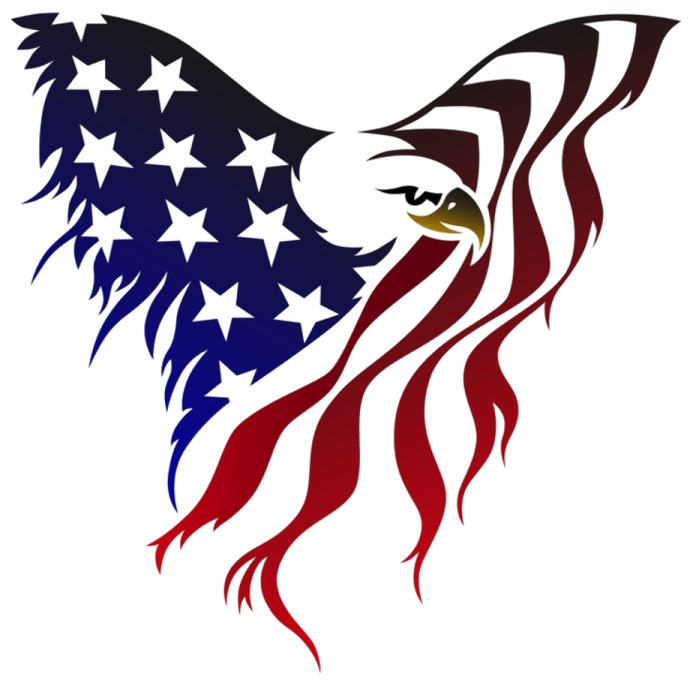 an eagle with the colors of the american flag