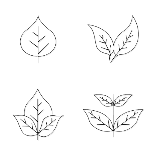 a set of four different leaves