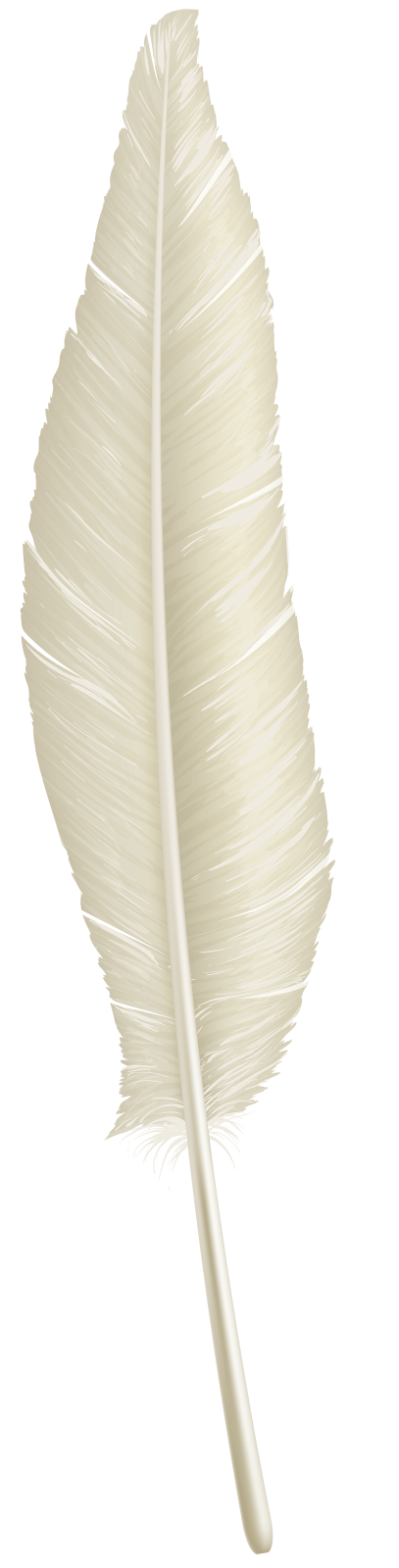 an image of a white feather