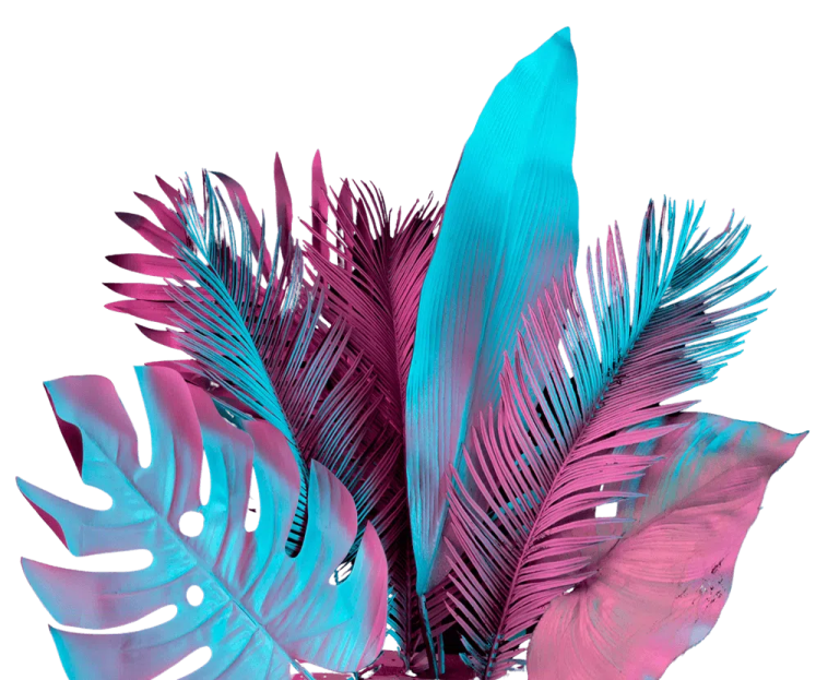 a pink and blue plant with leaves on it