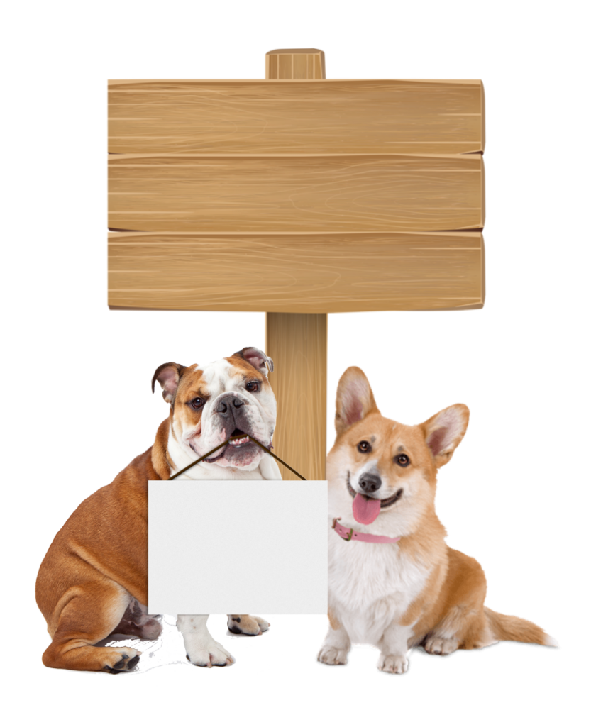 two dogs sitting next to a blank sign