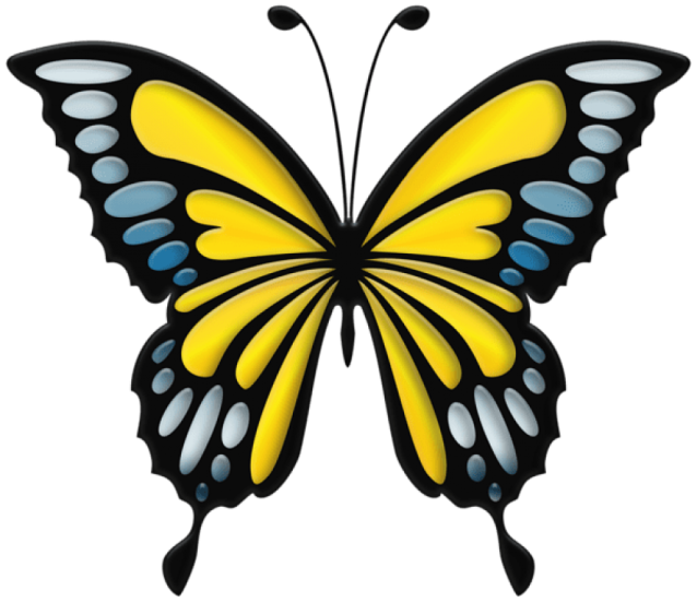 a butterfly with blue and yellow wings