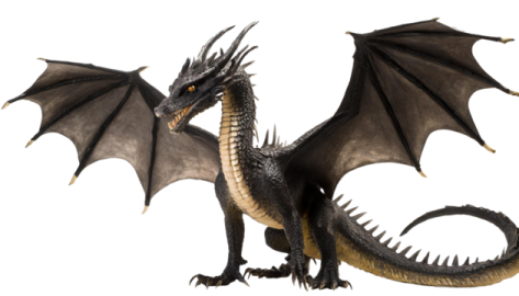 a black dragon with its wings spread out