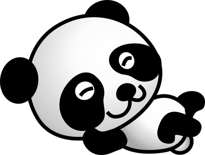 a black and white panda bear sitting on its back