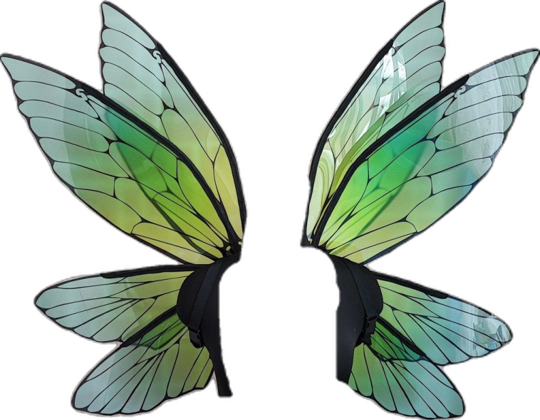 two green and black butterfly wings