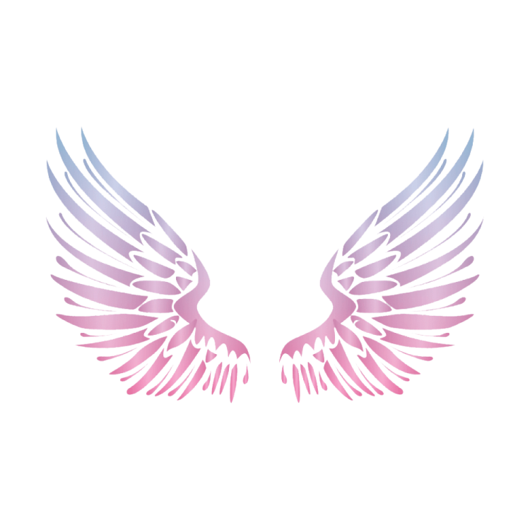 a pair of pink and blue wings