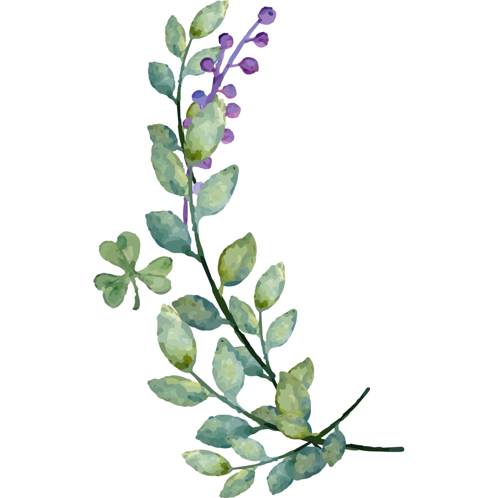 a watercolor painting of a branch with green leaves