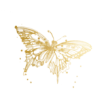 a gold butterfly on a white background