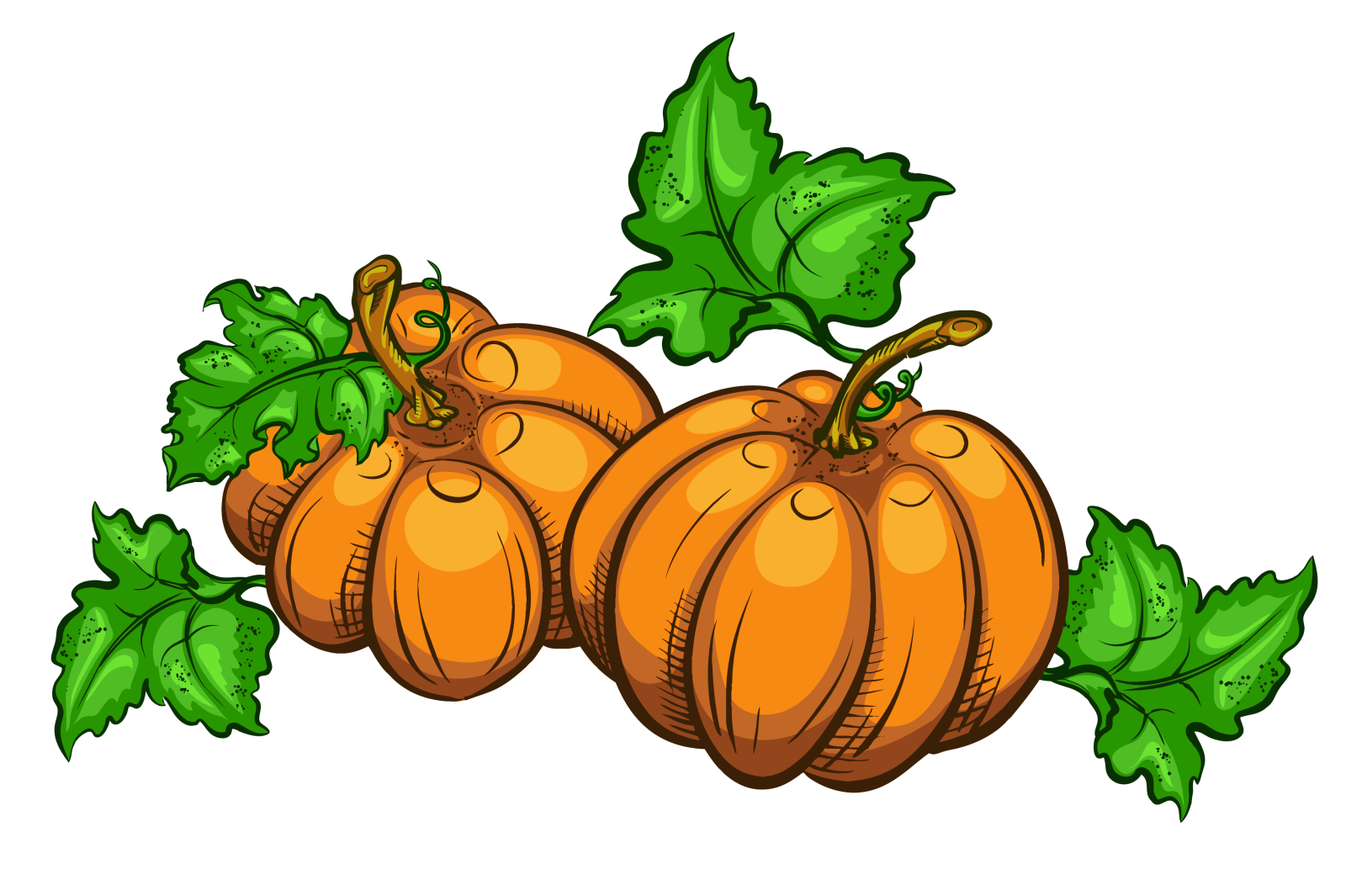 a bunch of pumpkins with green leaves