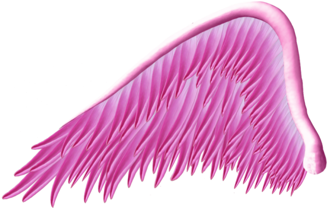 an image of a pink angel wing